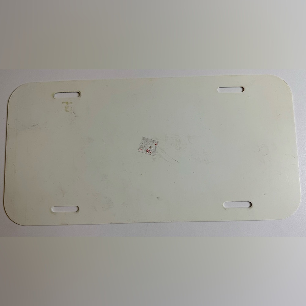 (3) DETROIT RED WINGS COLLECTOR LICENSE PLATES HOCKEY TOWN EMBOSSED ALUMINUM - Picture 5 of 5